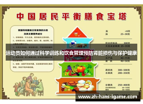 运动员如何通过科学训练和饮食管理预防肾脏损伤与保护健康 运动员如何通过科学训练和饮食管理预防肾脏损伤与保护健康
