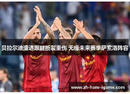 贝拉尔迪遭遇跟腱断裂重伤 无缘未来赛季萨索洛阵容 贝拉尔迪遭遇跟腱断裂重伤 无缘未来赛季萨索洛阵容