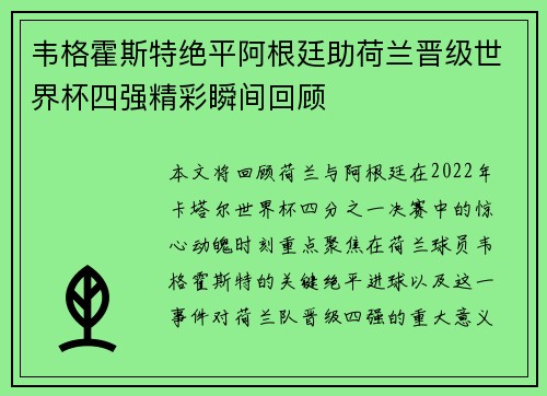 韦格霍斯特绝平阿根廷助荷兰晋级世界杯四强精彩瞬间回顾